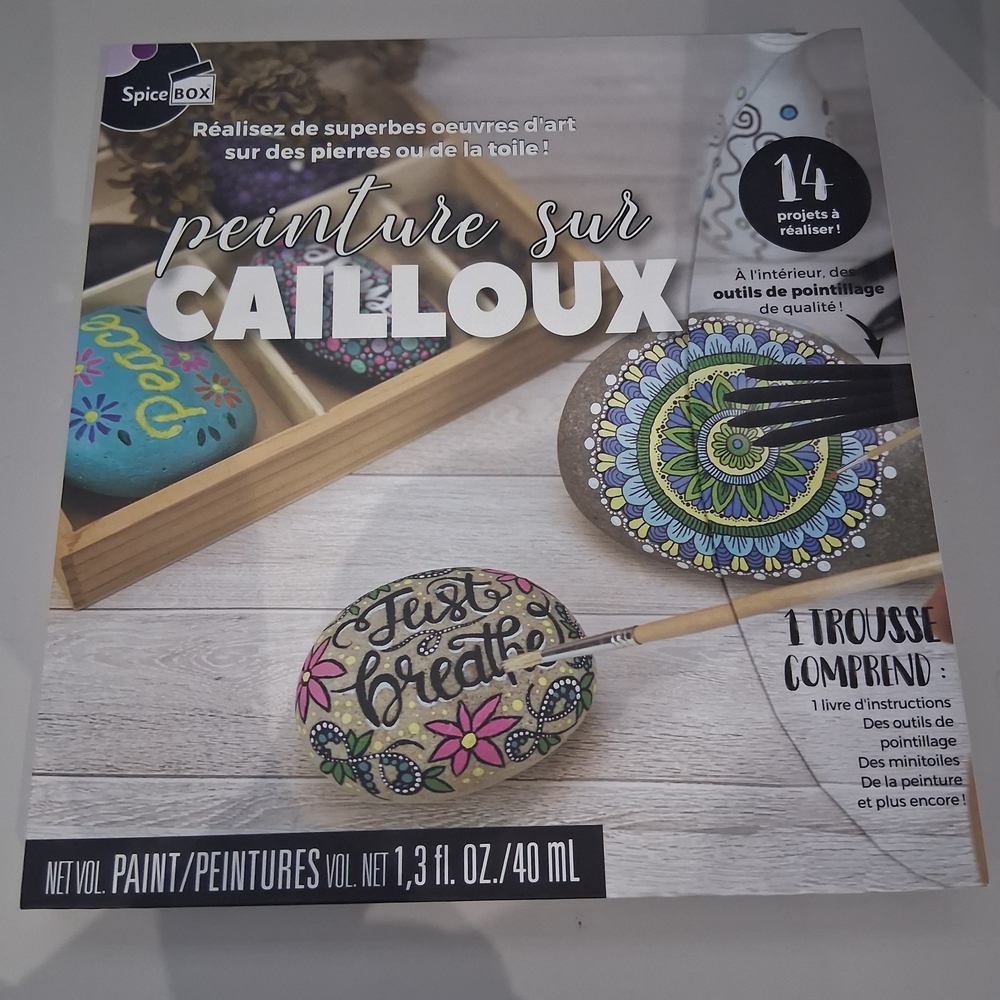 NWT  Rock Painting Kit - Multicolor